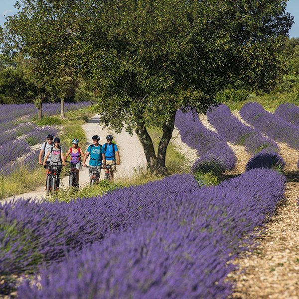 Balade guidée en trotinette électrique